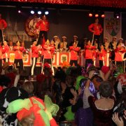 Kölner Narrenzunft (13.01.13)